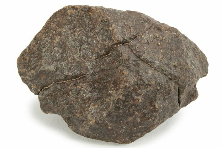 Chondrite Meteorite ( g) - Western Sahara Desert #232937